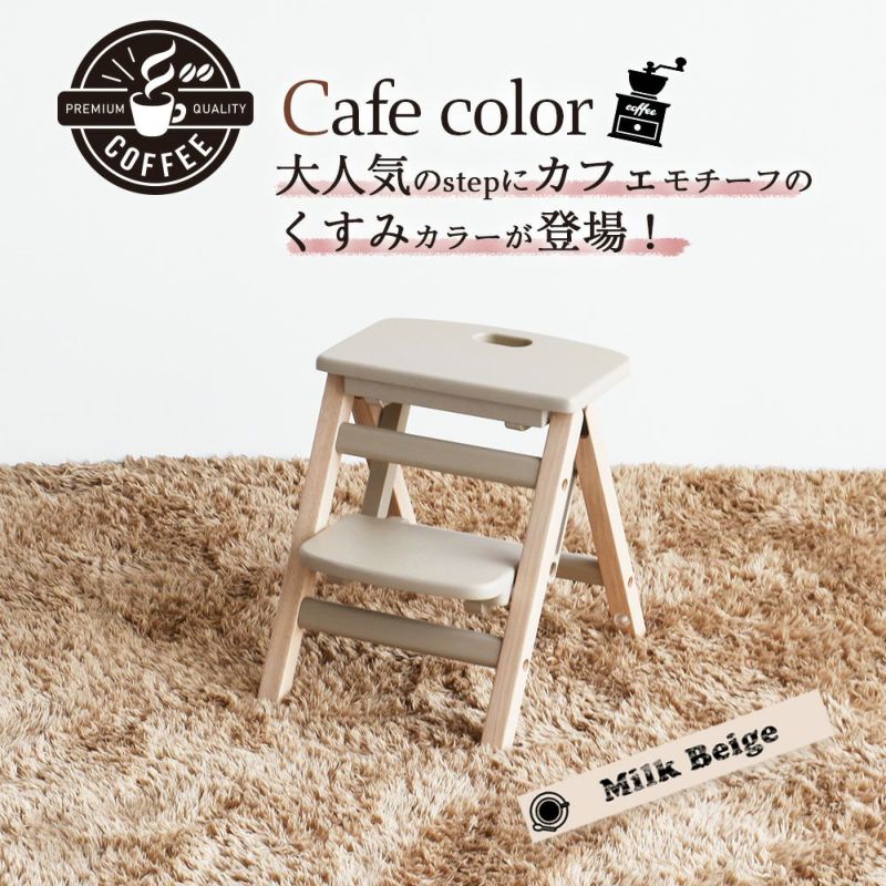 KidsFoldingStep-carrie-ILS-3551